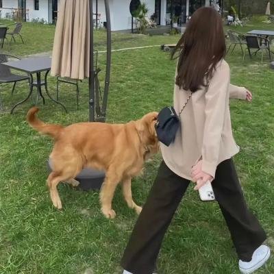 最后一次相见